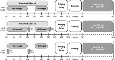 Neoadjuvant plus adjuvant combined or sequenced vemurafenib, cobimetinib and atezolizumab in patients with high-risk, resectable BRAF-mutated and wild-type melanoma: NEO-TIM, a phase II randomized non-comparative study